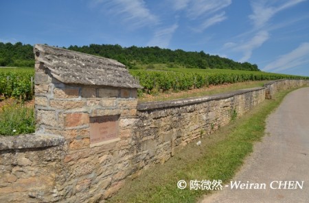 法国葡萄酒旅游指南（一）勃艮第