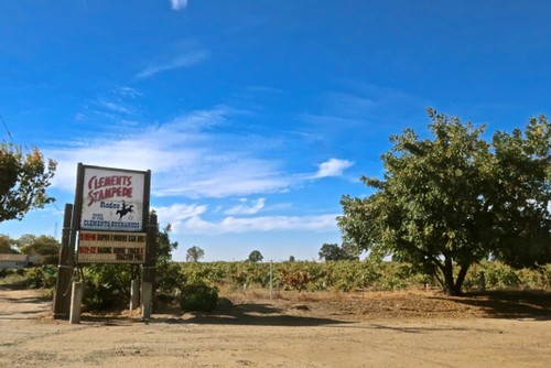 美国葡萄酒的朝圣地——加州