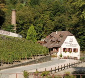 杜森磨坊酒莊Domaine du Moulin de Dusenbach