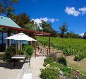 煤谷酒莊Coal Valley Vineyard