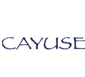 凱尤斯酒莊Cayuse Vineyards