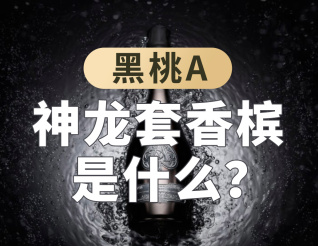 神龍?zhí)紫銠壥鞘裁矗? ></a><a href=