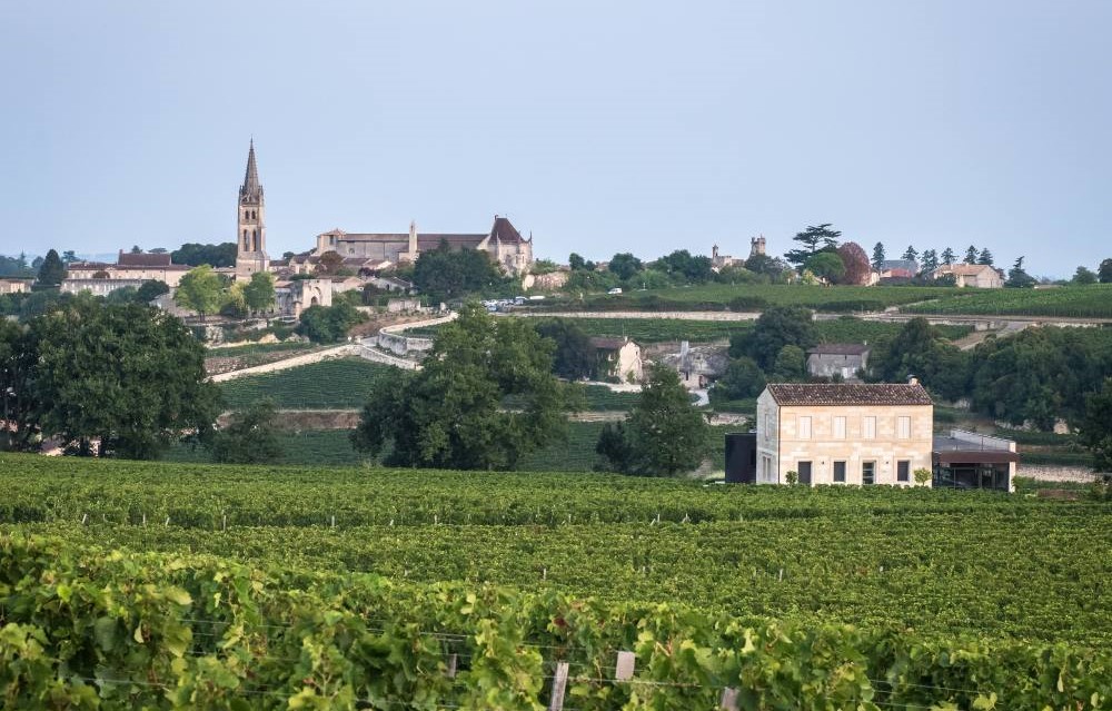 柏菲瑪凱酒莊(chateau pavie macquin)地處法國波爾多右岸的聖埃美隆