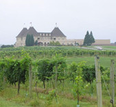 艾蘭園酒莊Elan Vineyard