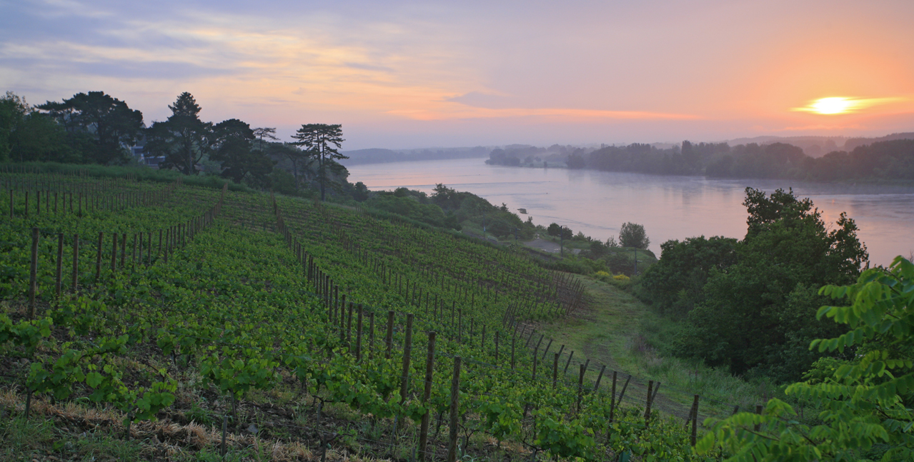 江河湖海对于葡萄酒的湖海影响