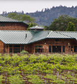 德羅米酒莊Delorimier Vineyards