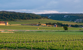 勃艮第黄金产区——金丘葡萄酒地图