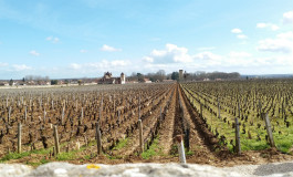 细读：勃艮第产区葡萄酒地图