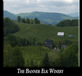 班納埃爾克酒莊Banner Elk Winery