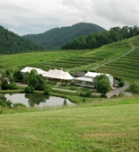 德爾夫斯酒莊DelFosse Vineyards and Winery