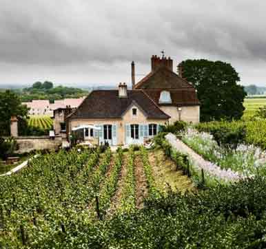 德拉爾勞酒莊(Domaine de l'Arlot)