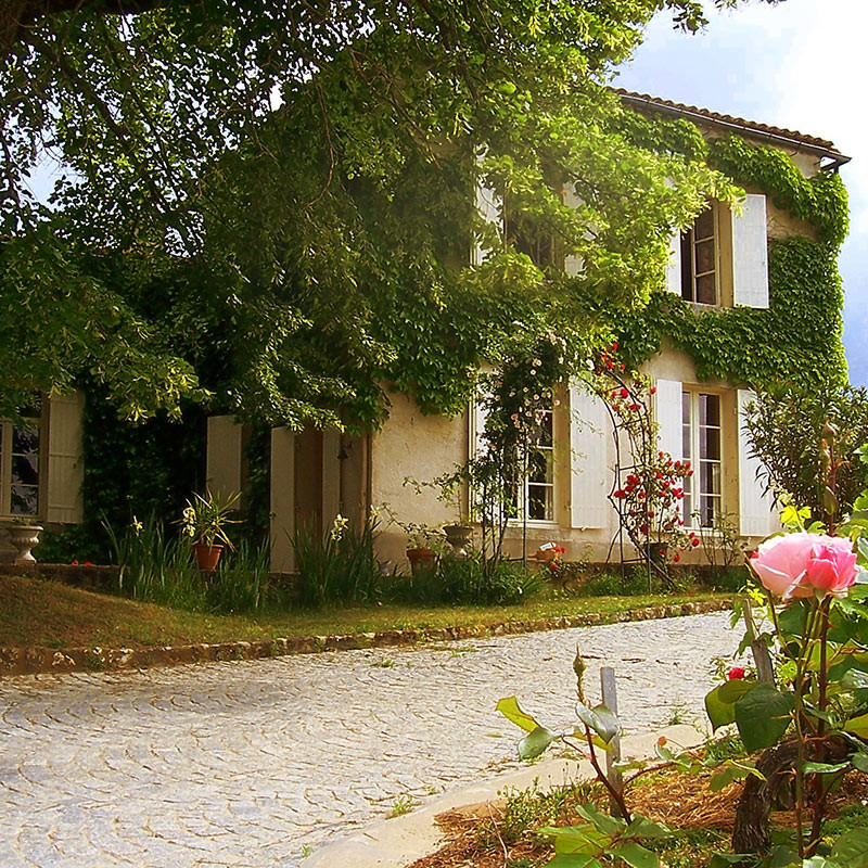 圣喬治酒莊Chateau Saint Georges (Cote Pavie)