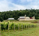 格蘭酒莊Glen Hill Winery