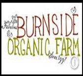 伯恩賽德酒莊Burnside Organic Farm