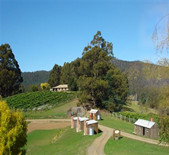 哈茲維酒莊Hartzview Vineyard