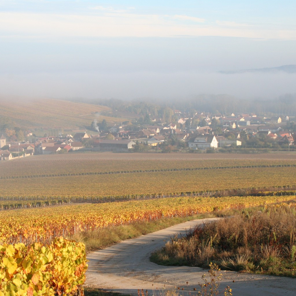 馥睿酒莊(Domaine Fourrey)