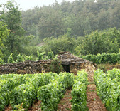 菲利普·柯林酒莊(Domaine Philippe Colin)