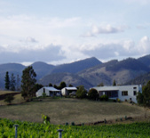 晨興酒莊Morningside Vineyard