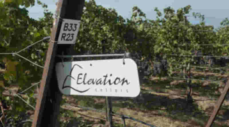 愛麗維酒莊Elevation Cellars