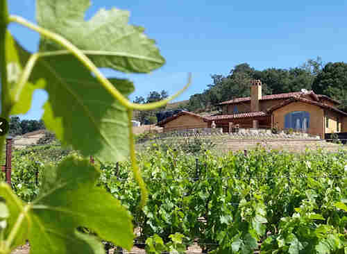 阿韋爾家族酒莊Aver?Family?Vineyards