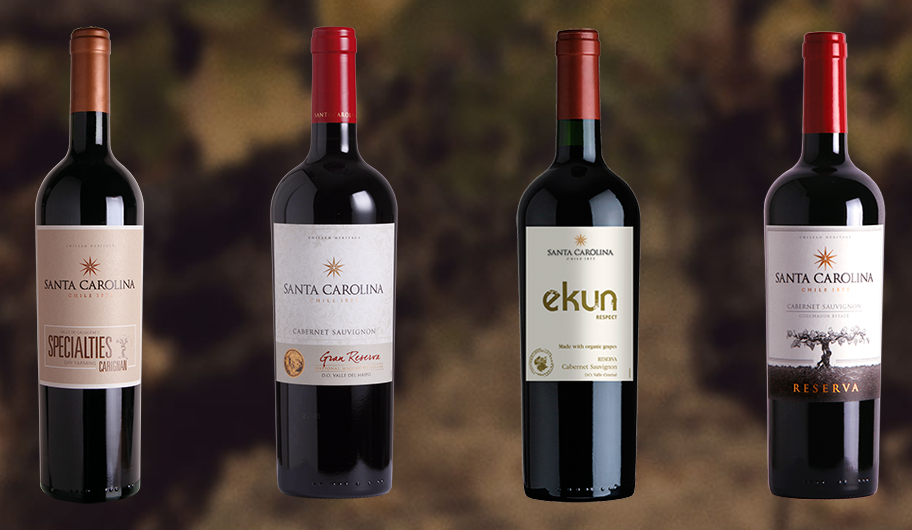 智利最佳葡萄酒生产商名录