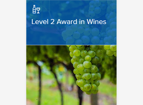 WSET和ISG葡萄酒认证课程有什么区别？