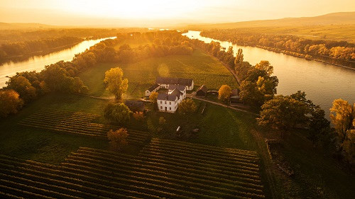 莱茵河滨，贵腐葡萄酒的“天堂”