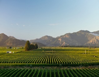 遇见新西兰：2022年湖道酒庄珍藏霞多丽