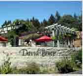 戴維?布魯斯酒莊David Bruce Winery