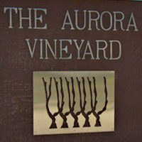 歐若拉酒莊Aurora Wines