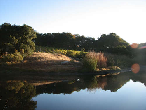 雙湖酒莊(Dos Lagos Vineyards)