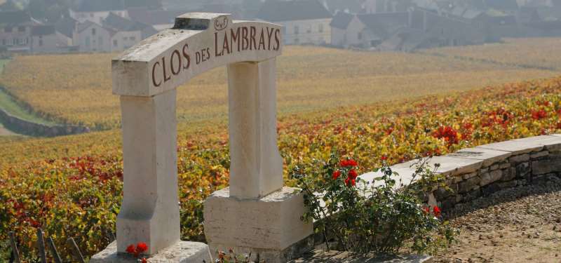 LV扩张葡萄酒产业，于勃艮第首次收购葡萄园