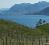 湖風(fēng)酒莊Lake Breeze Vineyards