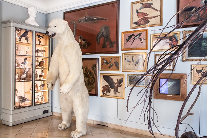 人与自然的同生共存：狩猎与自然博物馆