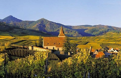 法国最具代表性的6大葡萄酒产区