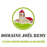 喬伊雷米莊園(Domaine Joel Remy)