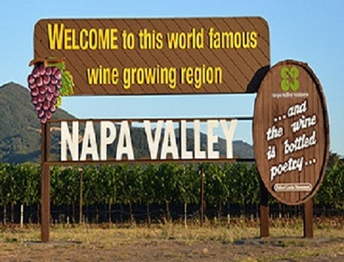 美国纳帕谷明天开始采收2013年葡萄