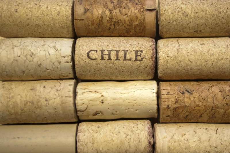 智利葡萄酒的呵护者——“十八罗汉”