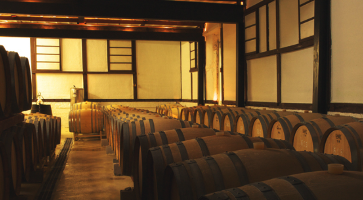 日本葡萄酒——富士山下的佳酿