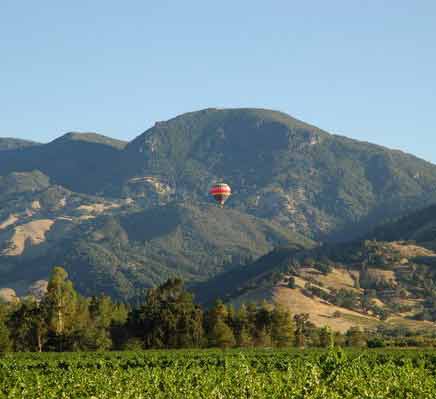 加斯托加酒莊Calistoga Cellars