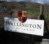 惠靈頓酒莊Wellington Vineyards