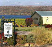 弗蘭提納酒莊(Frontenac Point Vineyard & Estate Winery)