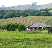 富利酒莊Foley Estates Vineyard & Wine