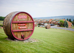 格倫諾拉酒莊(Glenora Wine Cellars)