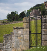 簡·富尼爾酒莊(Domaine Jean Fournier)