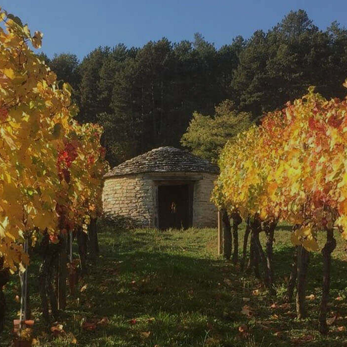 富祖利酒莊(Domaine Fougeray De Beauclair)