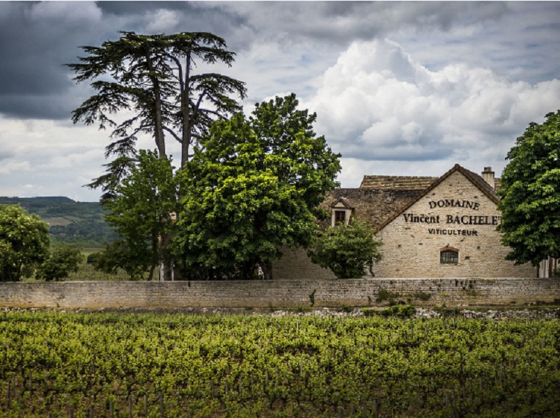 文森巴特酒莊Domaine Vincent Bachelet