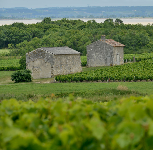 柯瓦塔勒酒莊(Chateau Croix du Trale)