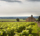 拉夏貝爾園酒莊(Domaine Clos de la Chapelle)