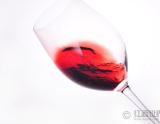 阿根廷门多萨葡萄酒地图